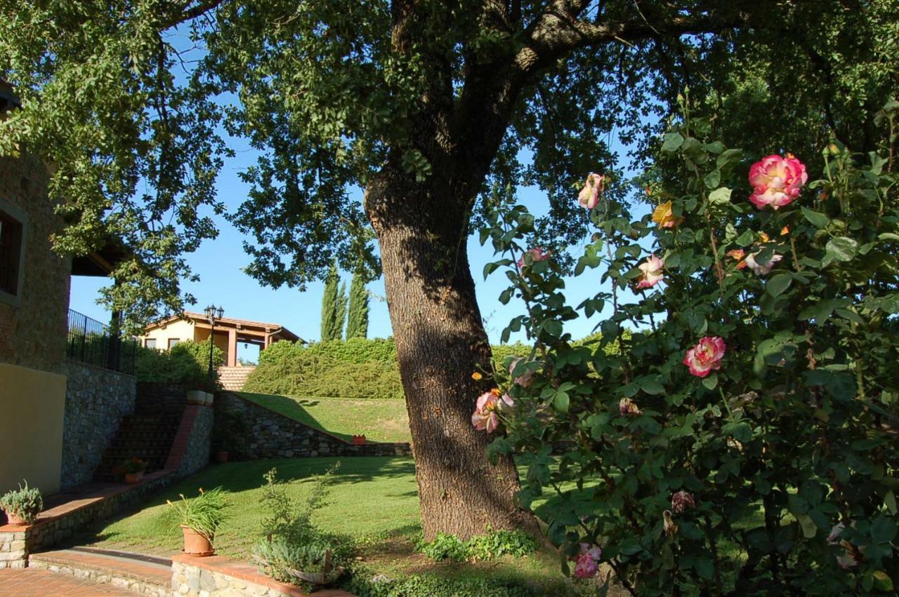 Pergine Valdarno Agriturismo Il Palazzo מראה חיצוני תמונה